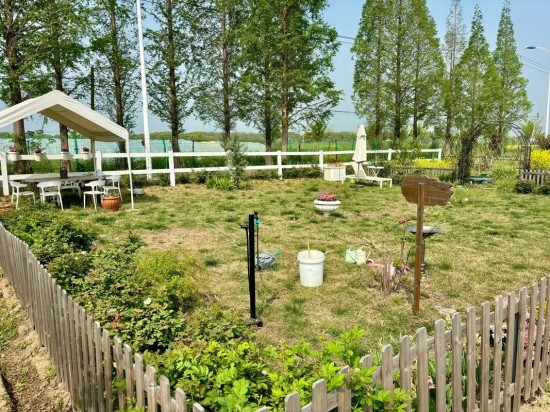 疗愈之土：共享菜园如何成为都市人的心灵疗愈空间？