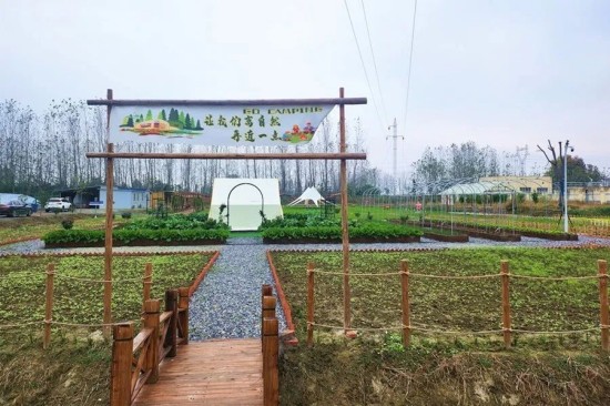 都市农业新形态：共享菜园如何推动城市可持续发展？